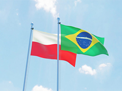 Solidarność katolickiej społeczności polonijnej w Brazylii z rodakami w Republice Białorusi